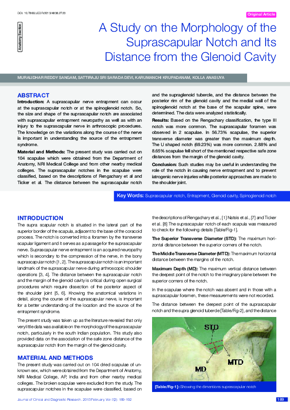 (PDF) A Study on the Morphology of the Suprascapular Notch and Its ...