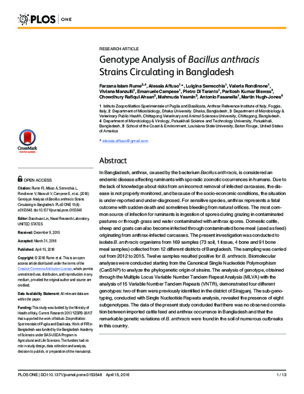 Bacillus anthracis essays 08 image