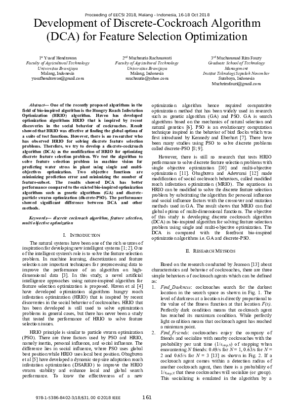 Cockroach baby picture