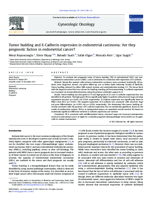 (PDF) Tumor budding and E-Cadherin expression in endometrial carcinoma ...