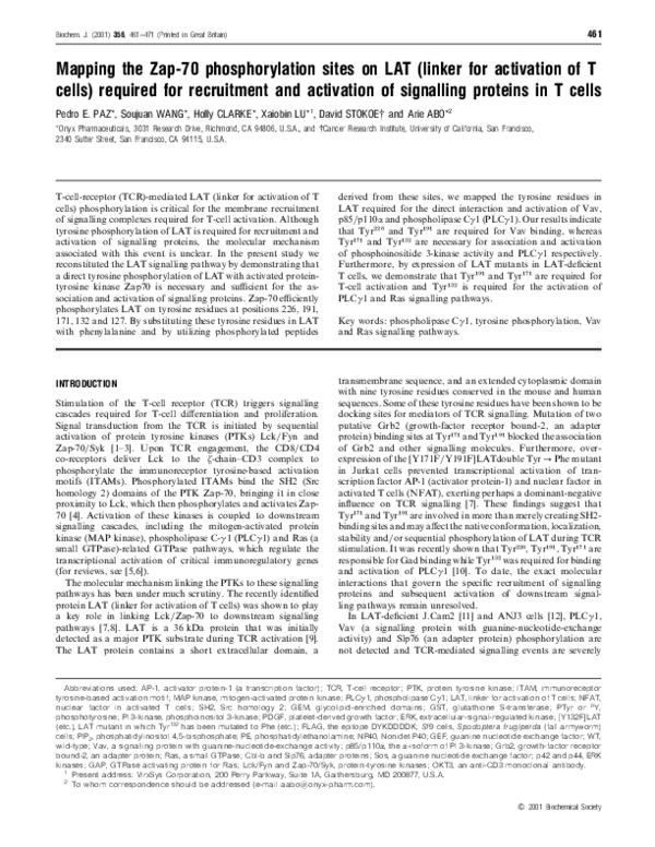 (PDF) Mapping the Zap-70 phosphorylation sites on LAT (linker for ...