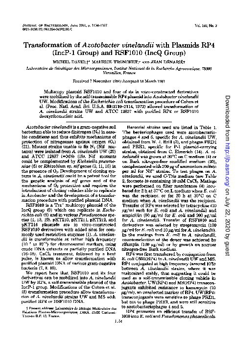 (PDF) Transformation of Azotobacter vinelandii with plasmid DNA