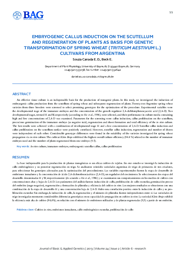 (PDF) Embryogenic Callus induction on the scutellum and regeneration of ...