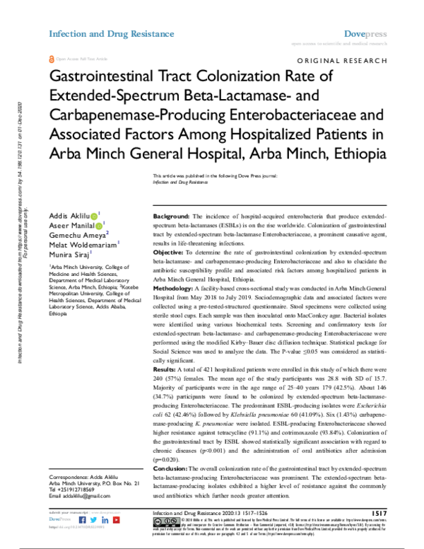 Alimentary tract essay image