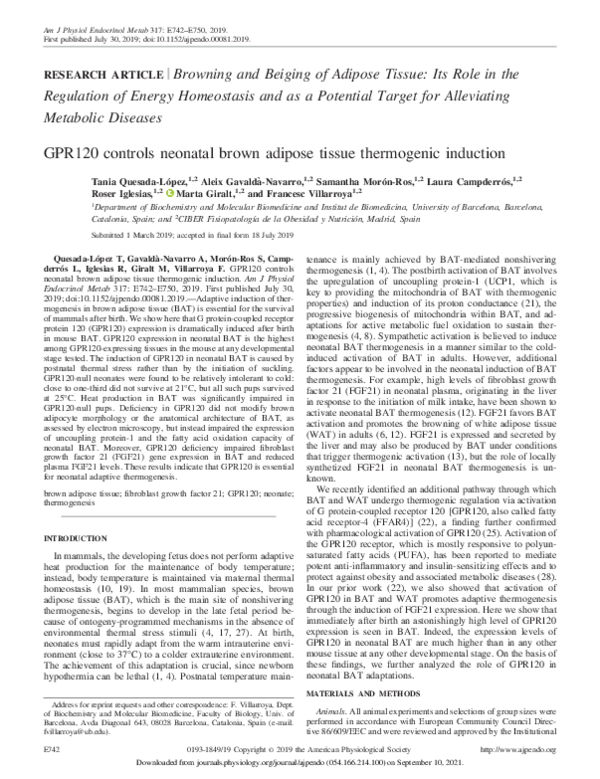 (PDF) GPR120 controls neonatal brown adipose tissue thermogenic induction