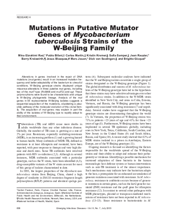 (PDF) Yellow Pygmy Rice Rat ( Oligoryzomys flavescens ) and Hantavirus ...