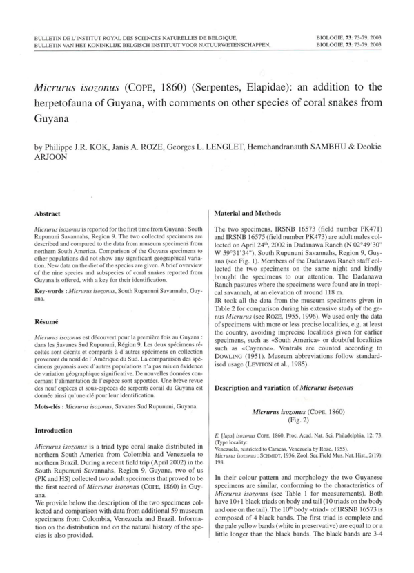 (PDF) Micrurus isozonus (Cope, 1860) (Serpentes, Elapidae) an addition
