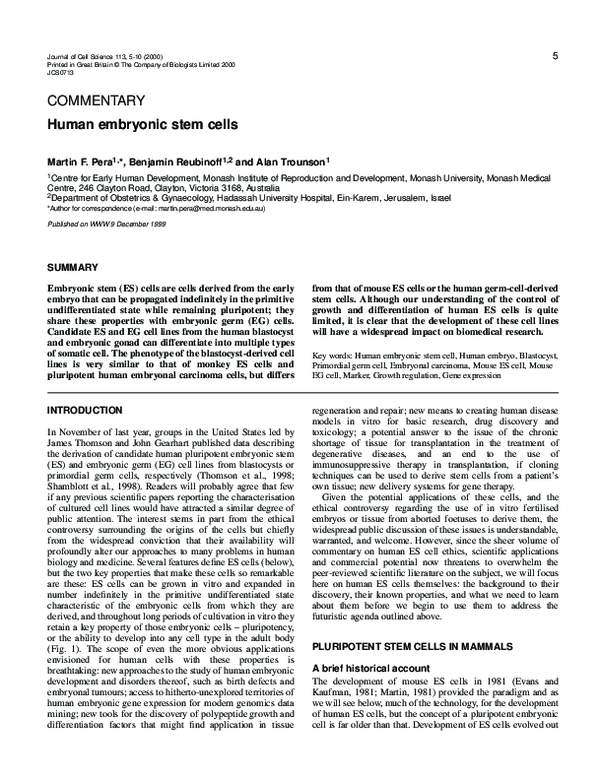 (PDF) Human embryonic stem cells