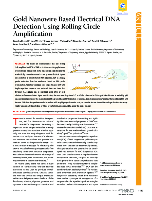 (PDF) Gold Nanowire Based Electrical DNA Detection Using Rolling Circle ...