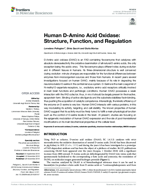 (PDF) Human DAmino Acid Oxidase Structure, Function, and Regulation