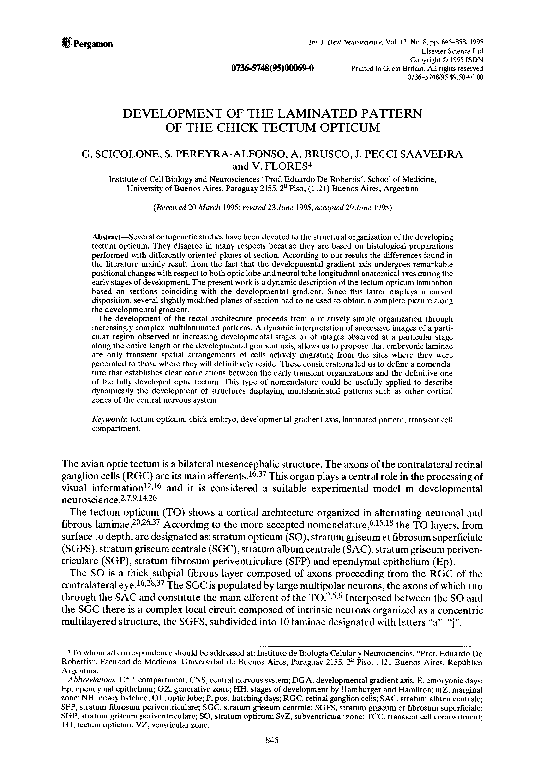 (PDF) Development of the laminated pattern of the chick tectum opticum