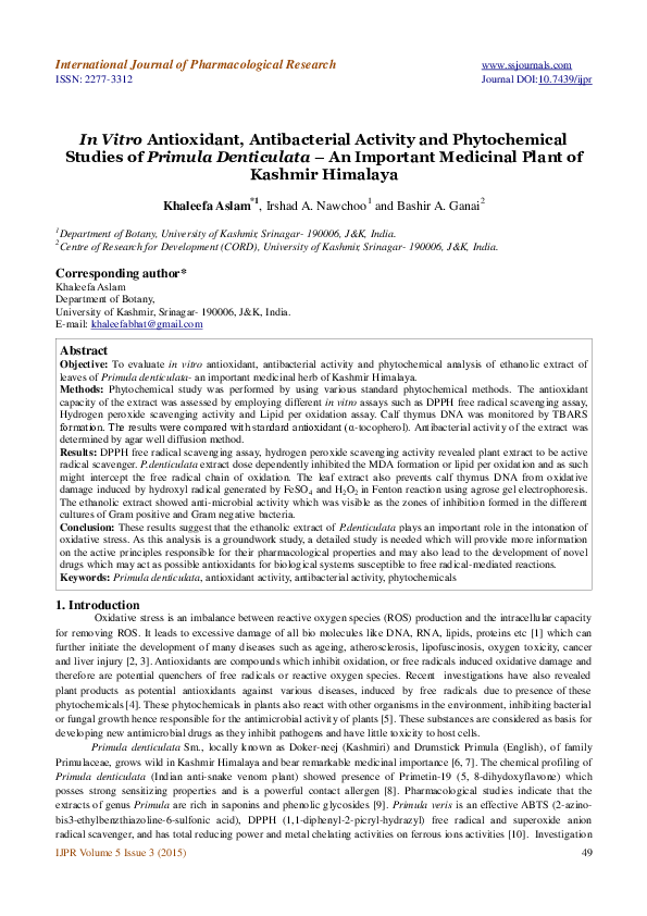 (PDF) In Vitro Antioxidant, Antibacterial Activity and Phytochemical ...