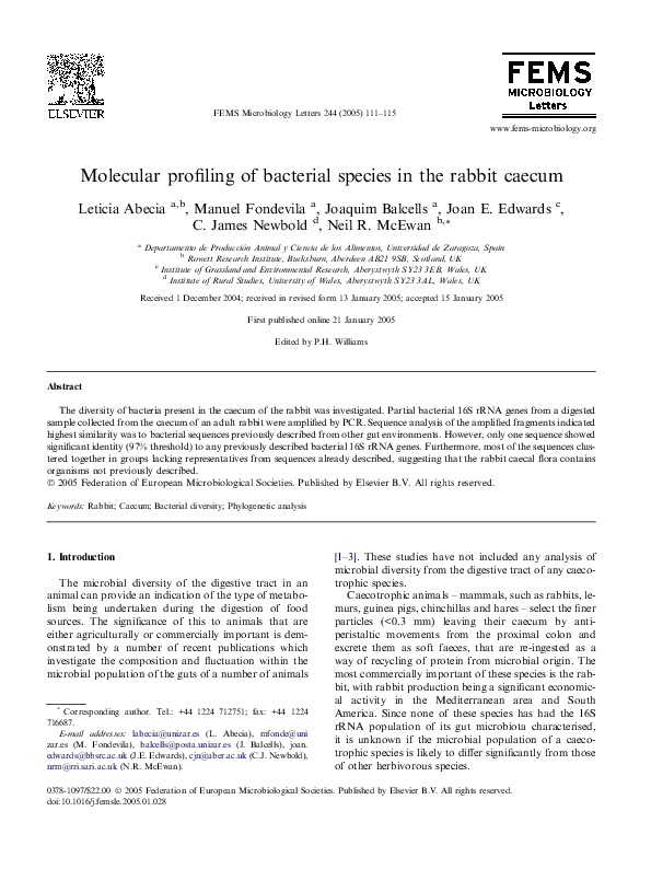 (PDF) Molecular profiling of bacterial species in the rabbit caecum