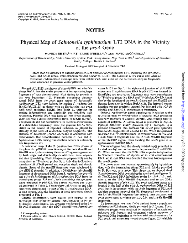 (PDF) Physical map of Salmonella typhimurium LT2 DNA in the vicinity of ...