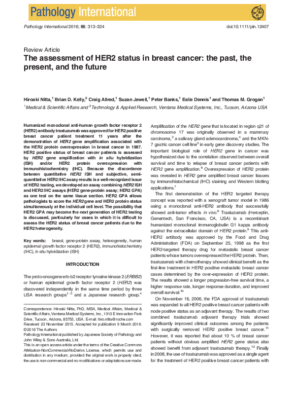 (PDF) The assessment of HER2 status in breast cancer: the past, the ...