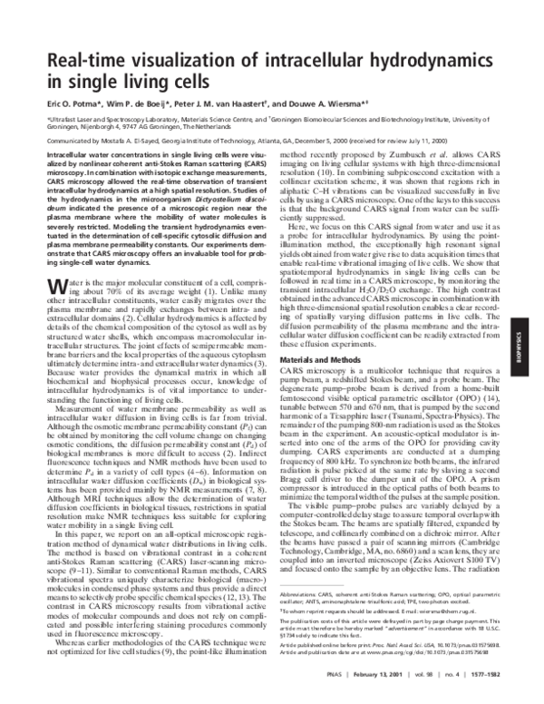 (PDF) Real-time visualization of intracellular hydrodynamics in single ...