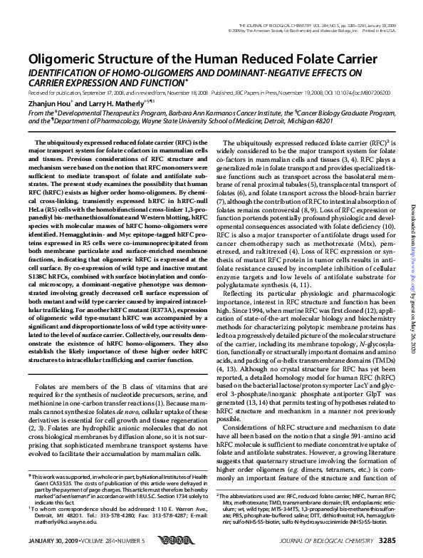 (PDF) Oligomeric Structure of the Human Reduced Folate Carrier ...