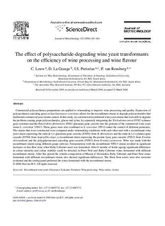 Yeast fermentation process equation picture