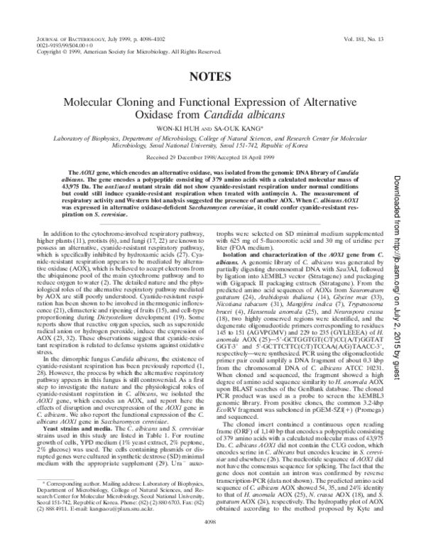 Neurospora characteristics picture