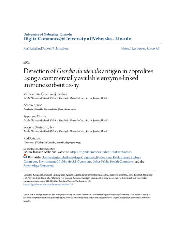 Giardia intestinalis lamblia image