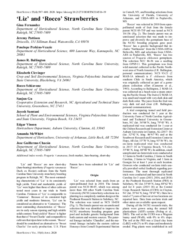 (PDF) ‘Liz’ and ‘Rocco’ Strawberries