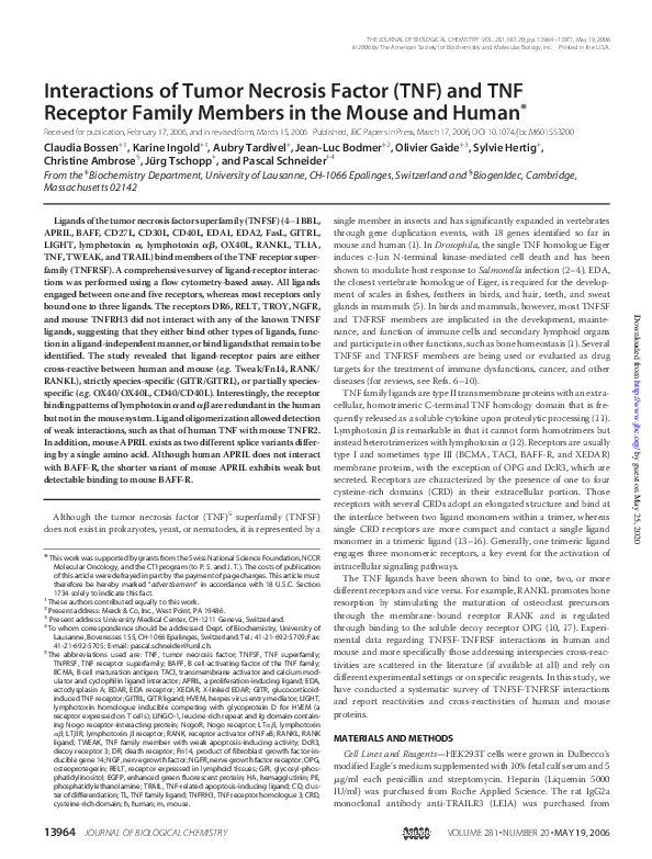 (PDF) Interactions of tumor necrosis factor (TNF) and TNF receptor ...