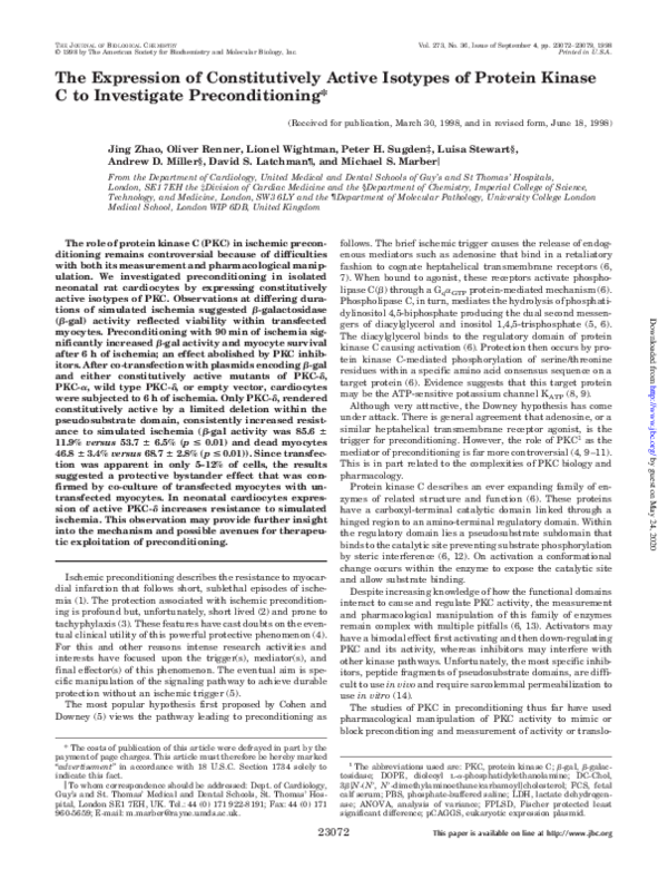 (PDF) The Expression of Constitutively Active Isotypes of Protein ...