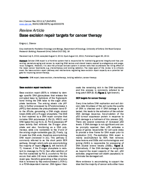 (PDF) Base excision repair targets for cancer therapy
