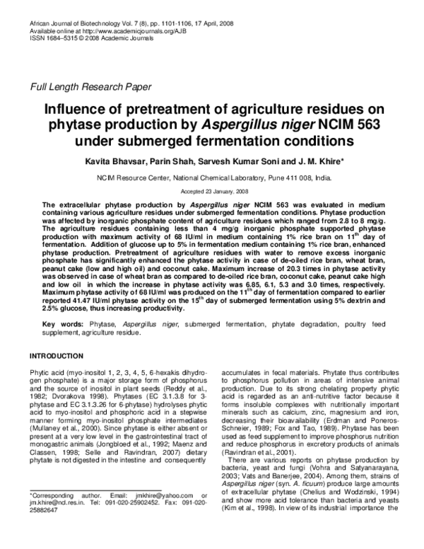 Essay 563 people 06 image