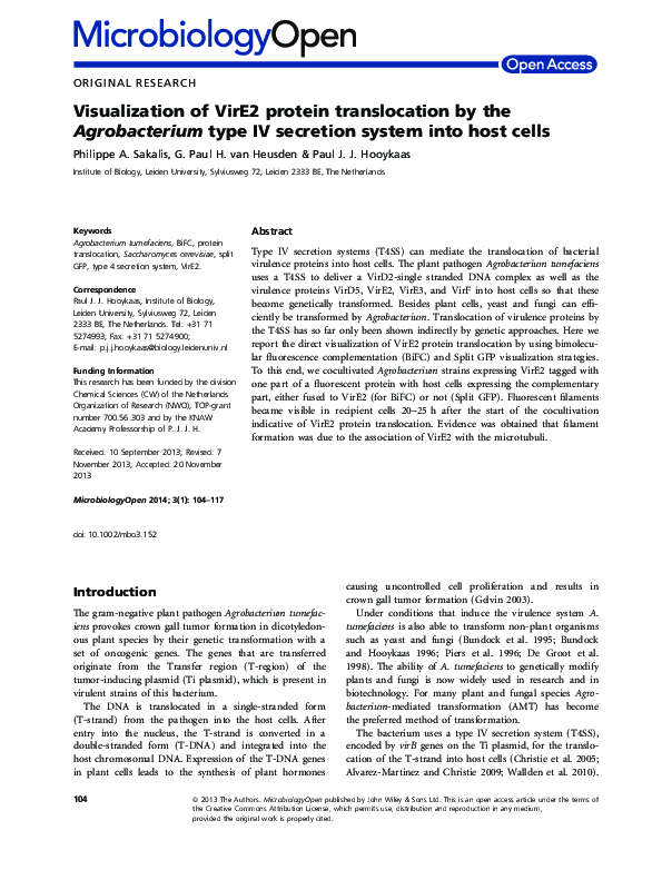 (PDF) Visualization of VirE2 protein translocation by the Agrobacterium ...