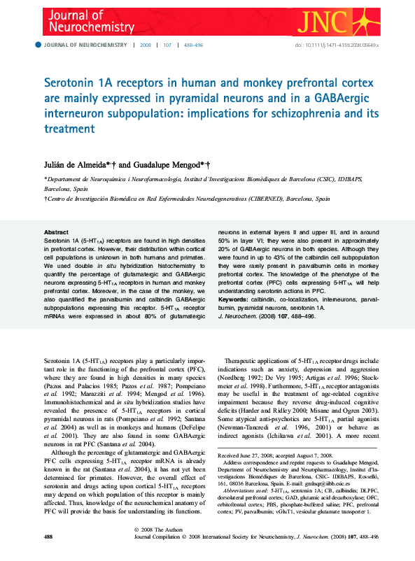 (PDF) Serotonin 1A receptors in human and monkey prefrontal cortex are ...