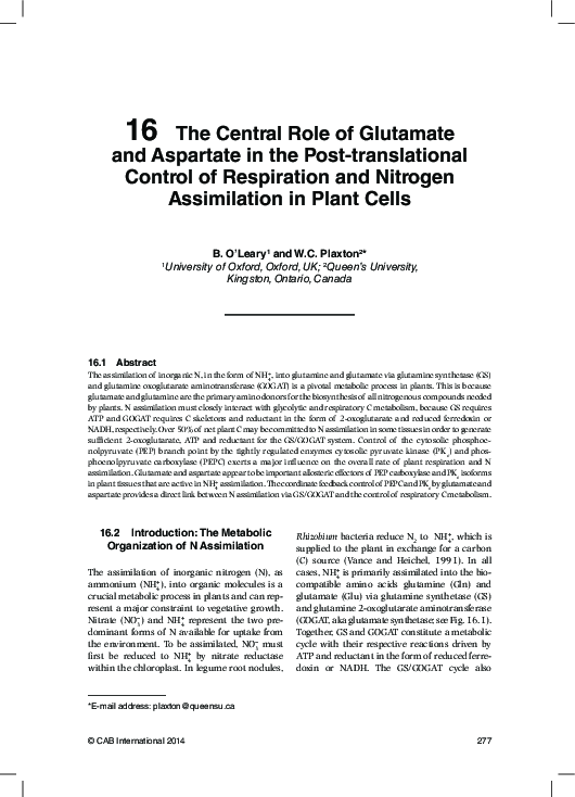 (PDF) The central role of glutamate and aspartate in the post ...