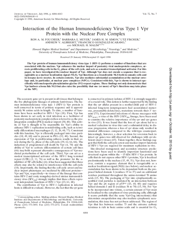 (PDF) Interaction of Human Immunodeficiency Virus Type 1 Envelope ...