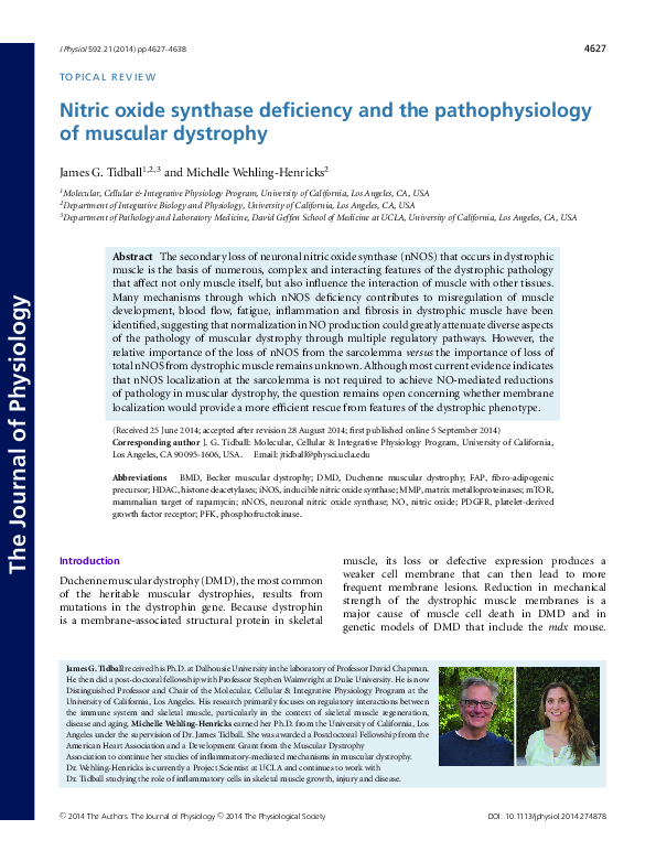 (PDF) Nitric oxide synthase deficiency and the pathophysiology of