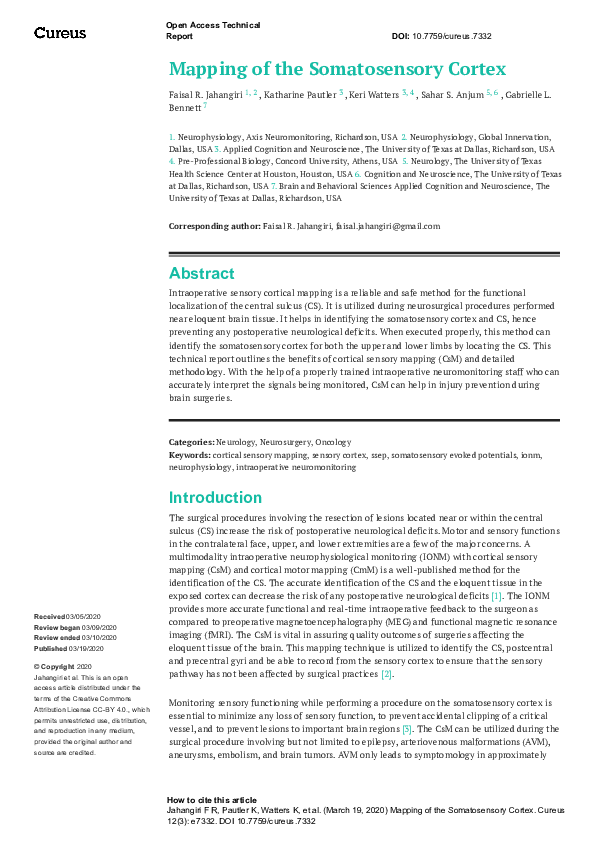 (PDF) Mapping of the Somatosensory Cortex