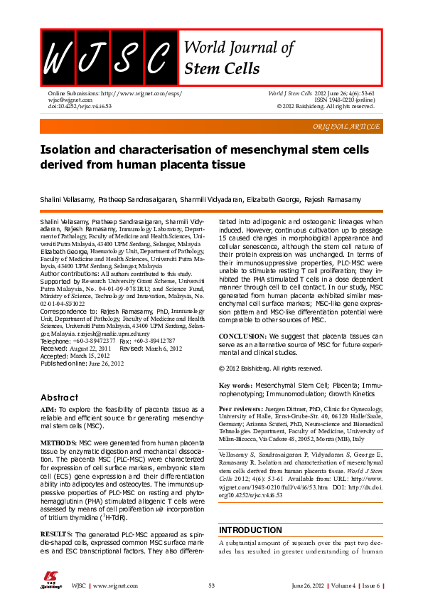 (PDF) Isolation and characterisation of mesenchymal stem cells from ...