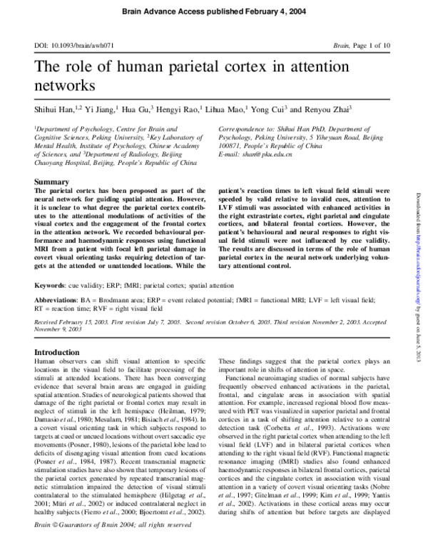 (PDF) The role of human parietal cortex in attention networks