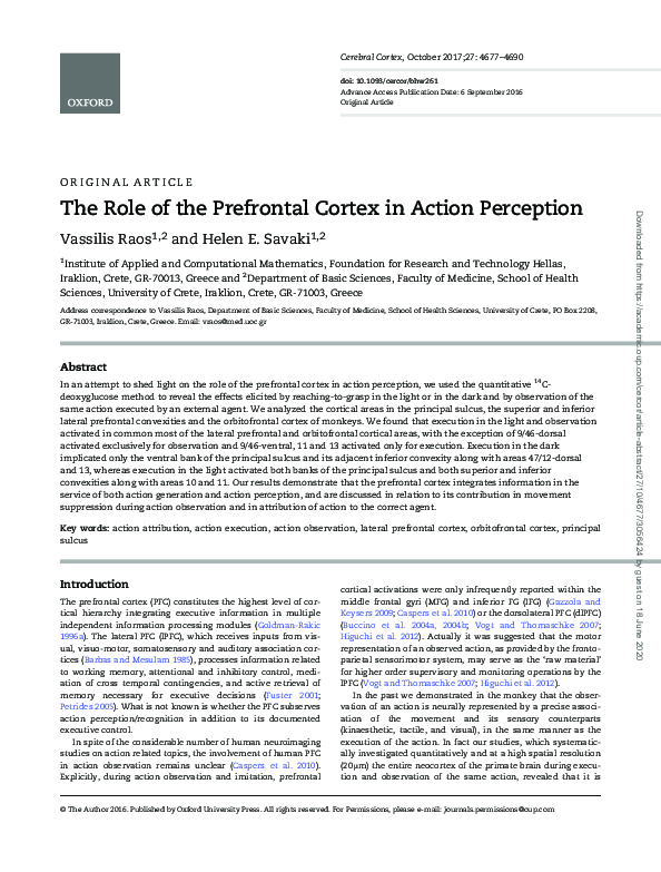 (PDF) The Role of the Prefrontal Cortex in Action Perception