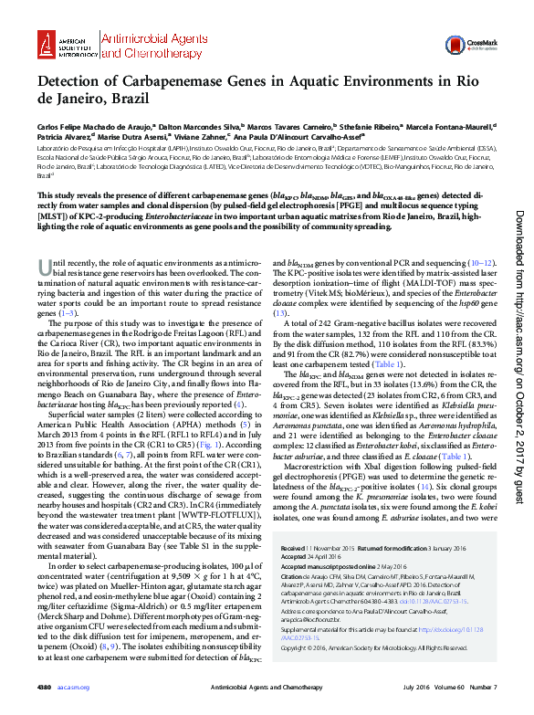 (PDF) Detection of carbapenemases genes on aquatic environment in Rio ...
