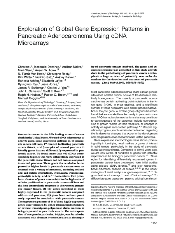 (PDF) Exploration of Global Gene Expression Patterns in Pancreatic ...