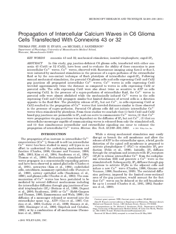 (PDF) Propagation of intercellular calcium waves in C6 glioma cells ...