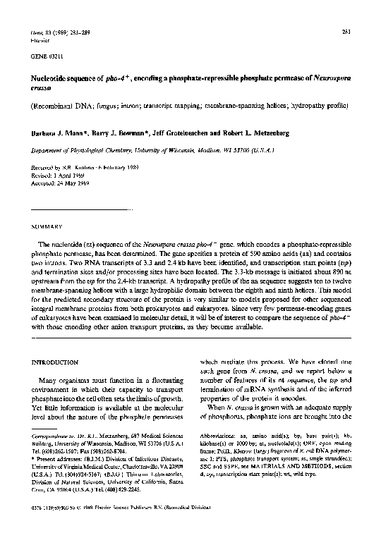 Neurospora structure picture