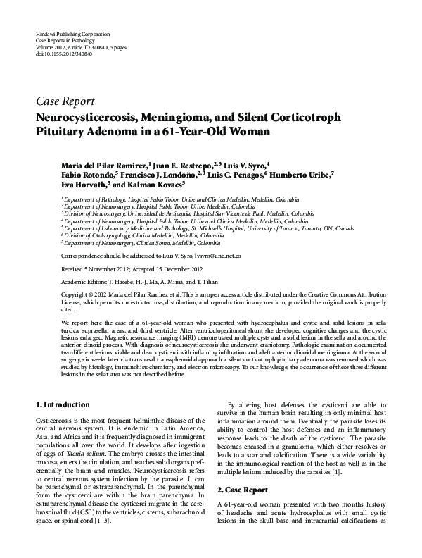 Neurocysticercosis stages image