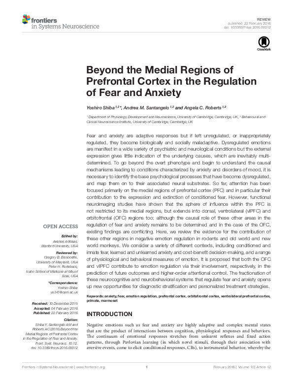 (PDF) Beyond the Medial Regions of Prefrontal Cortex in the Regulation ...