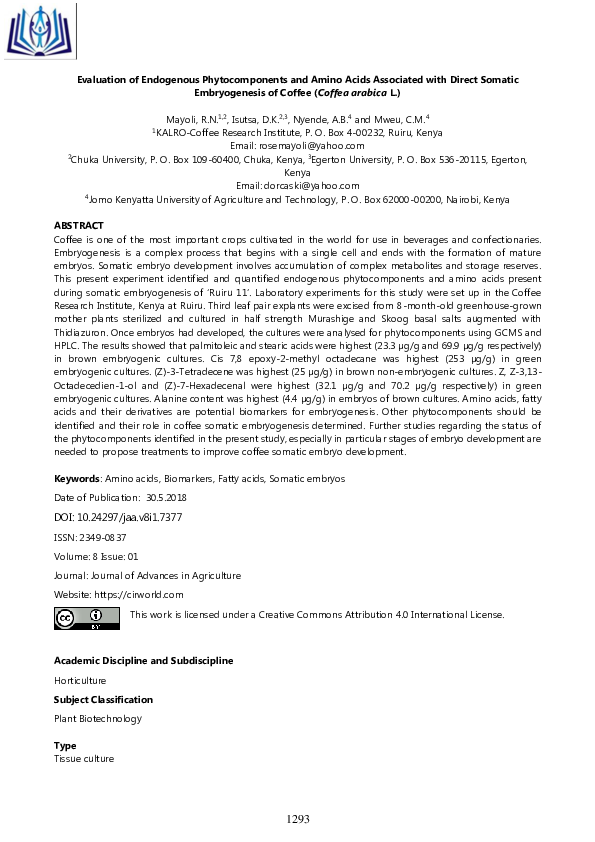 Coffea arabica essay picture