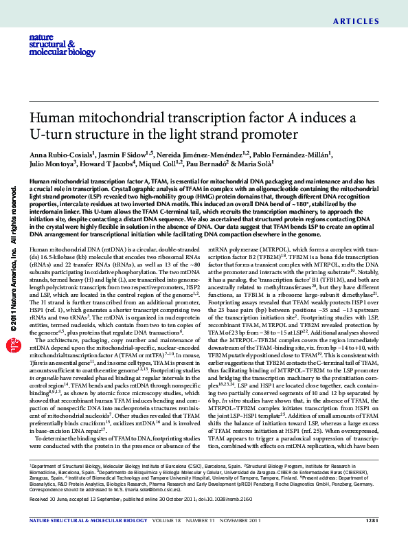 (PDF) Human mitochondrial transcription factor A induces a U-turn ...