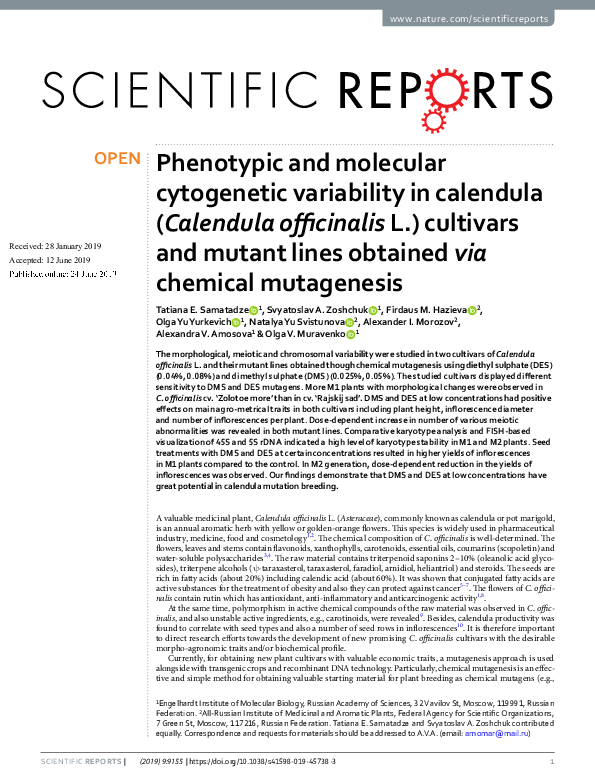 (PDF) Phenotypic and molecular cytogenetic variability in calendula ...