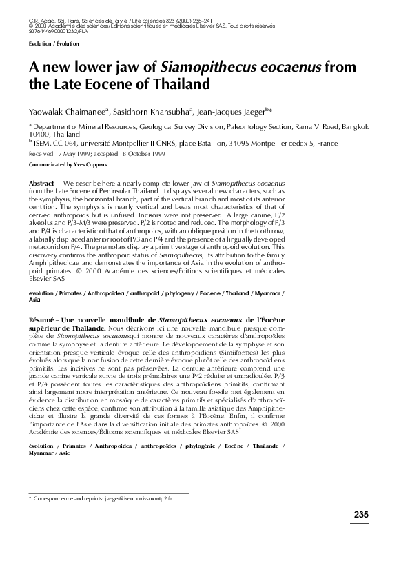 (PDF) A new lower jaw of Siamopithecus eocaenus from the Late Eocene of ...