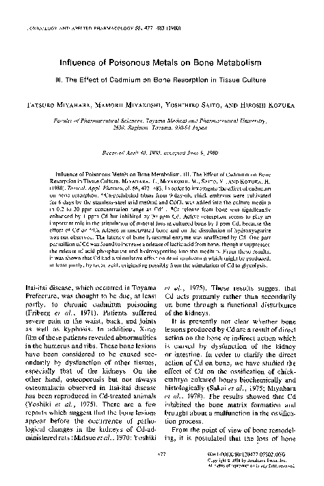 Scholarship essay examples picture