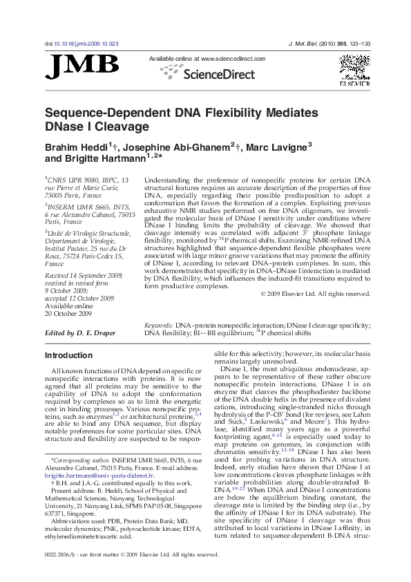 (PDF) Sequence-Dependent DNA Flexibility Mediates DNase I Cleavage